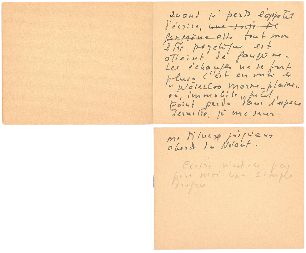 Notes manuscrites à la plume sur des pages de carnet jaunissantes.